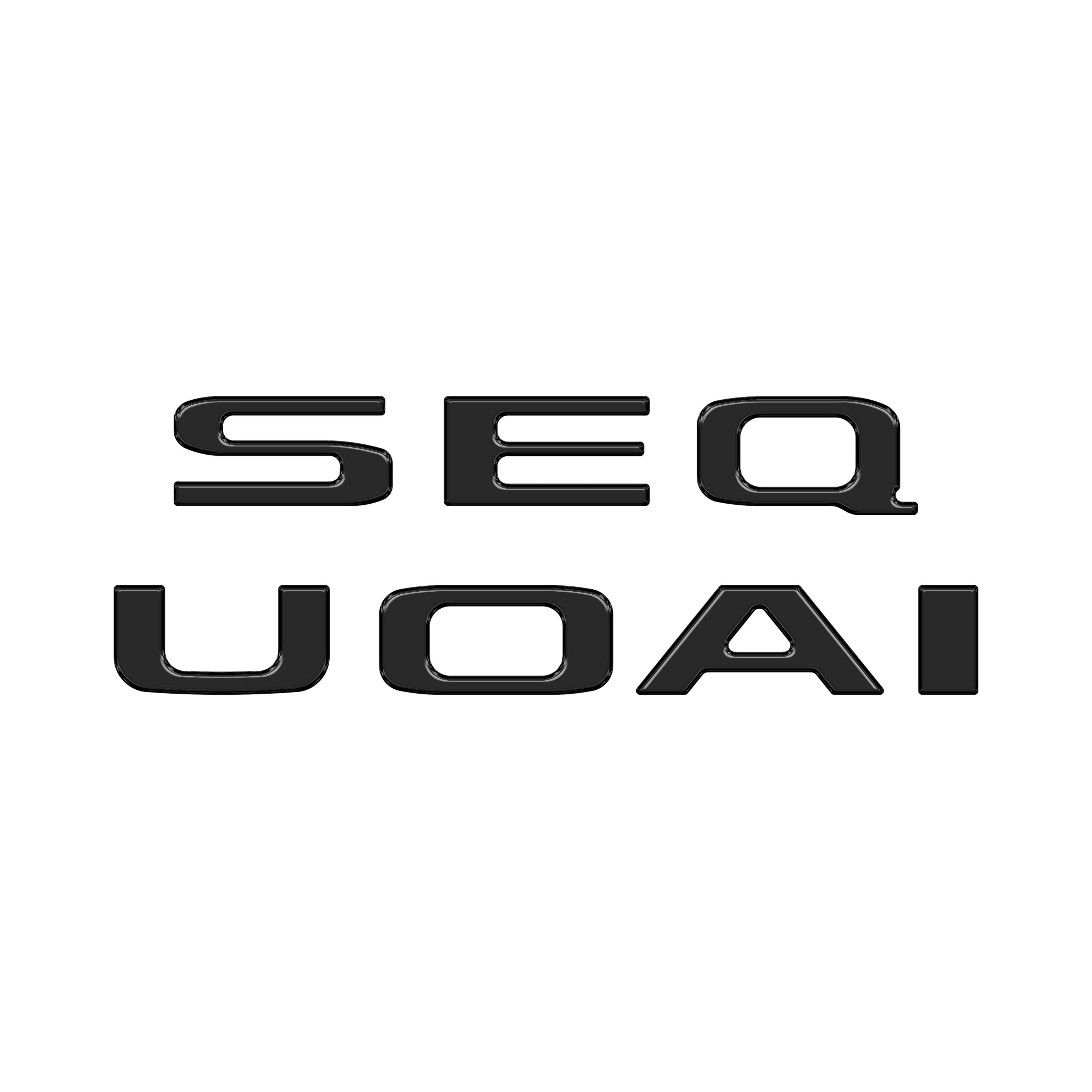 Rear Hatch Letter Overlays Fits 2023-2026 Toyota Sequoia
