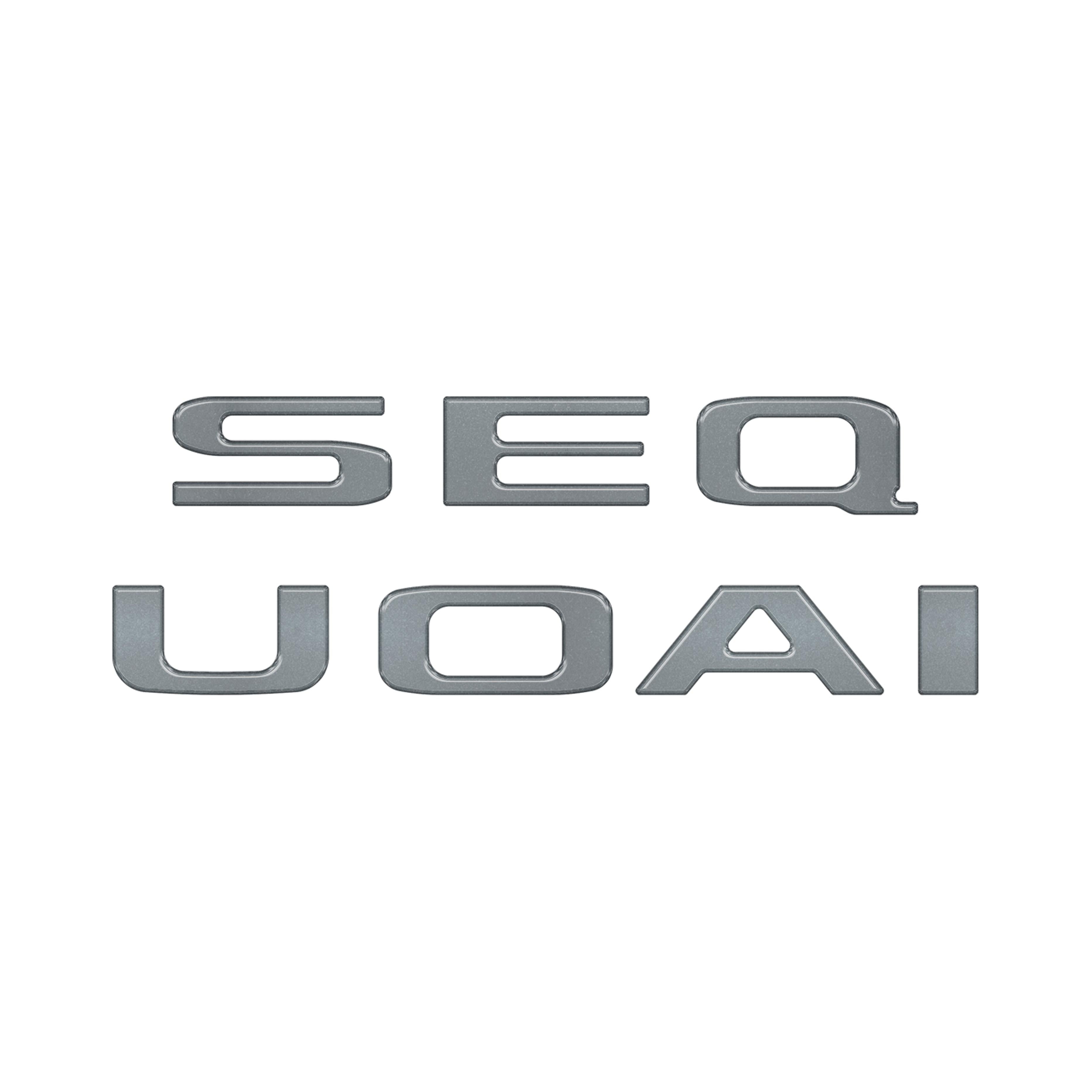 Rear Hatch Letter Overlays Fits 2023-2026 Toyota Sequoia
