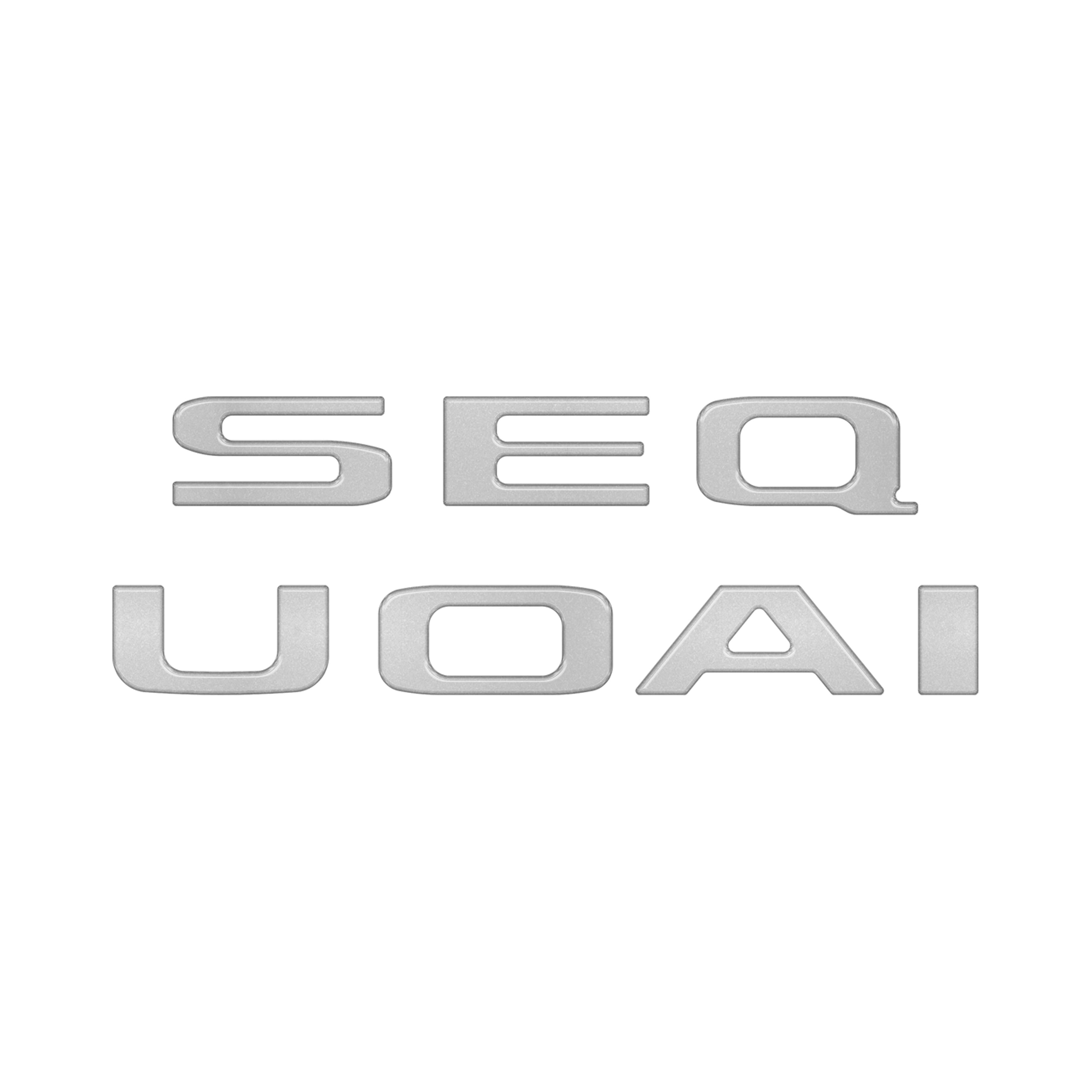 Rear Hatch Letter Overlays Fits 2023-2026 Toyota Sequoia