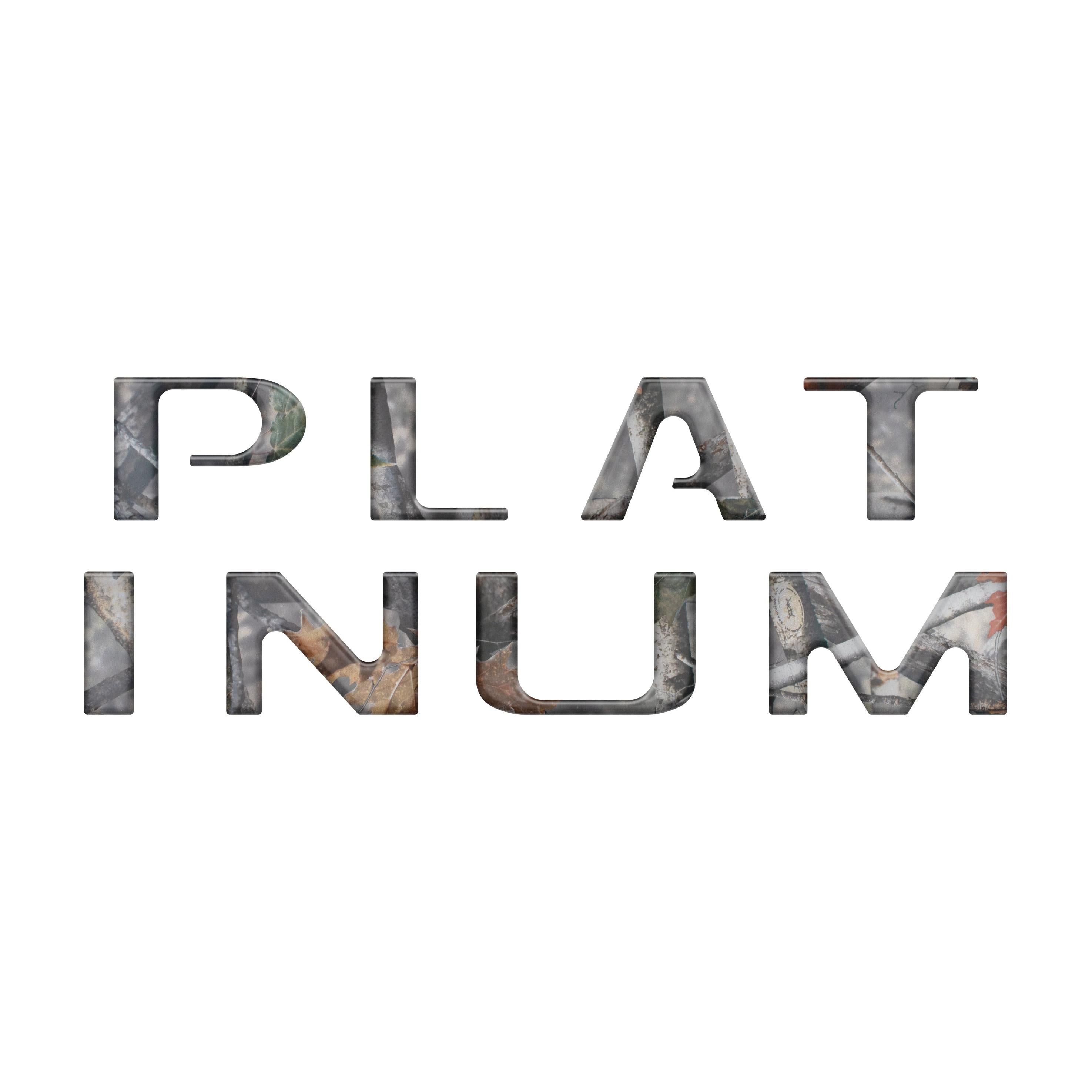 Platinum Tailgate Letter Overlays Fits 2020-2022 Ford Super Duty