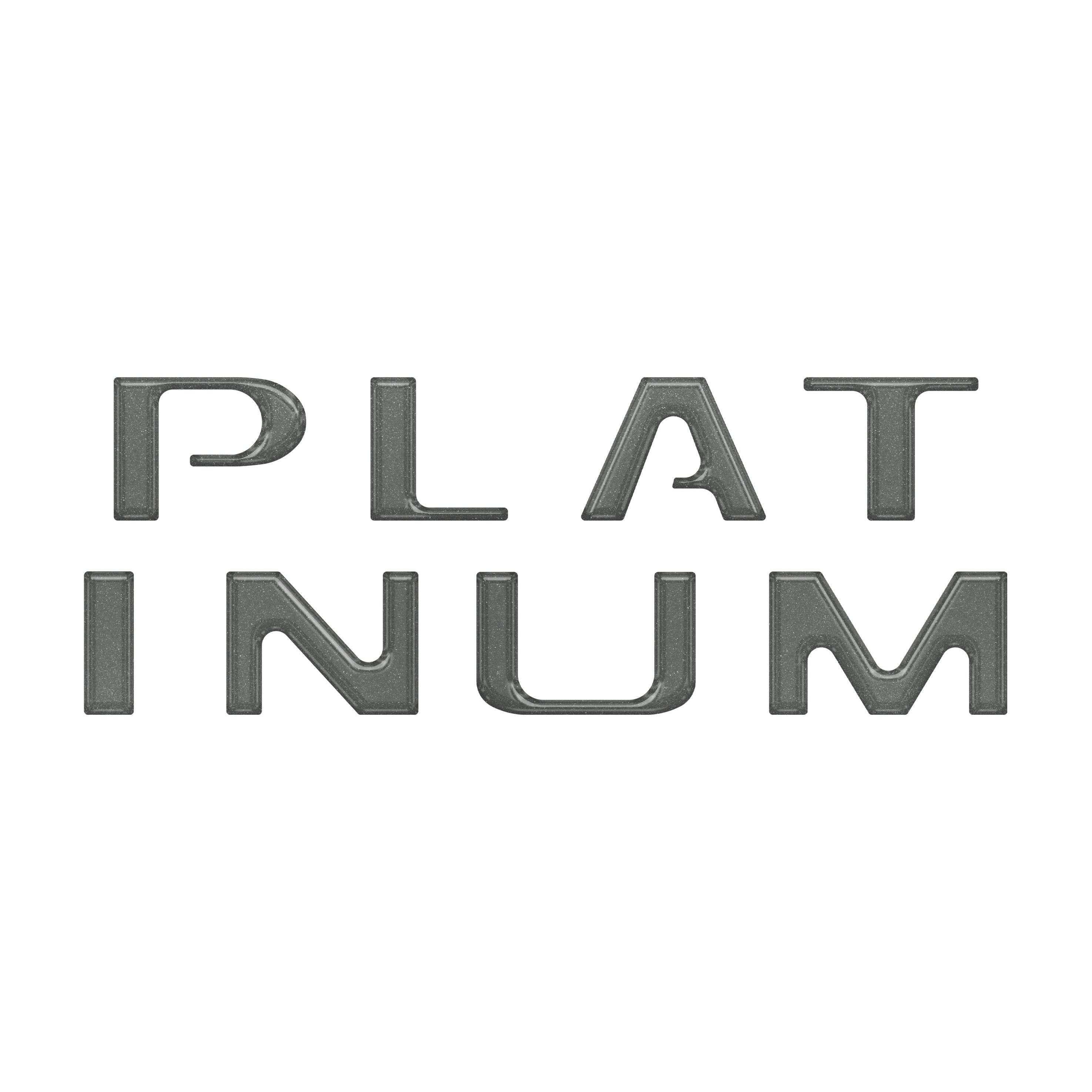 Platinum Tailgate Letter Overlays Fits 2020-2022 Ford Super Duty