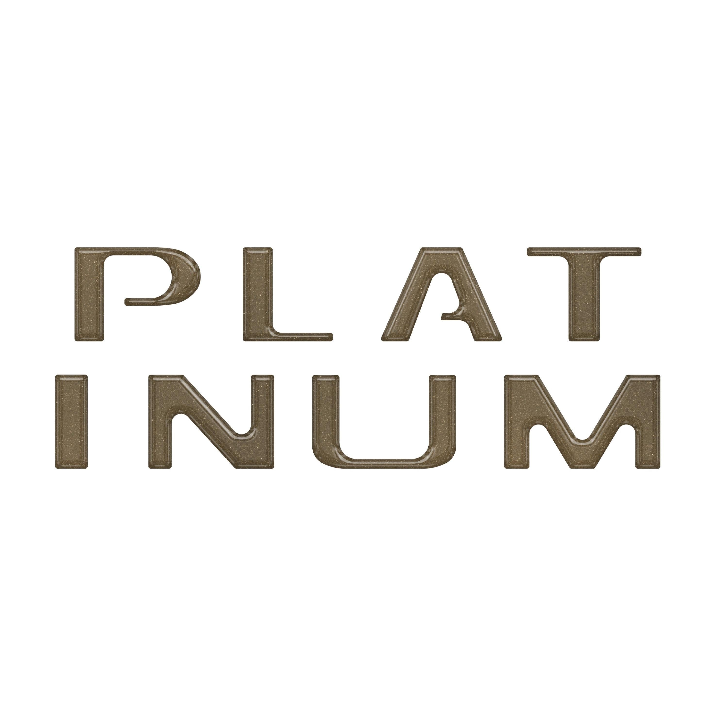 Platinum Tailgate Letter Overlays Fits 2020-2022 Ford Super Duty