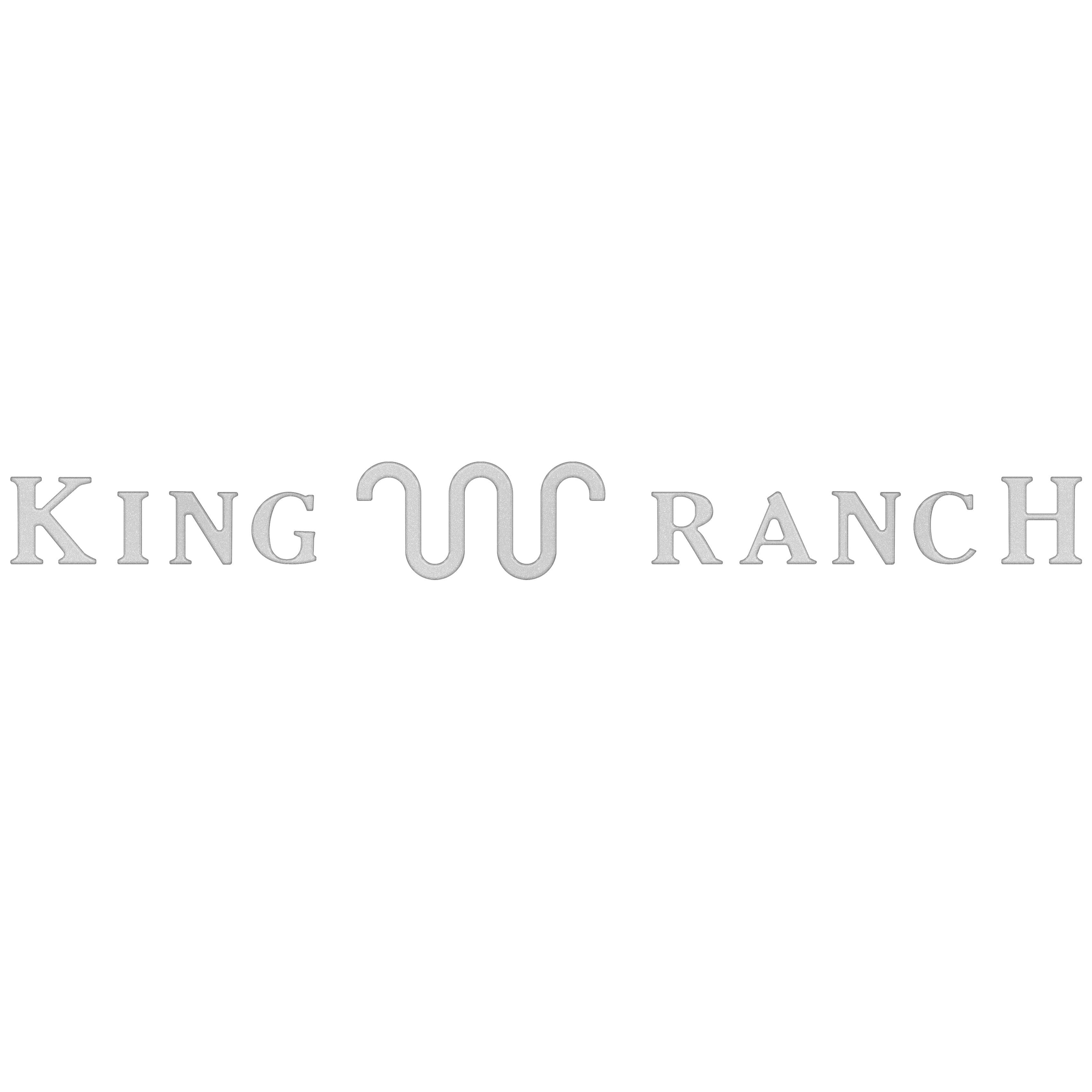 Tailgate Letter Inserts Fits 2023-2026 Ford Super Duty King Ranch