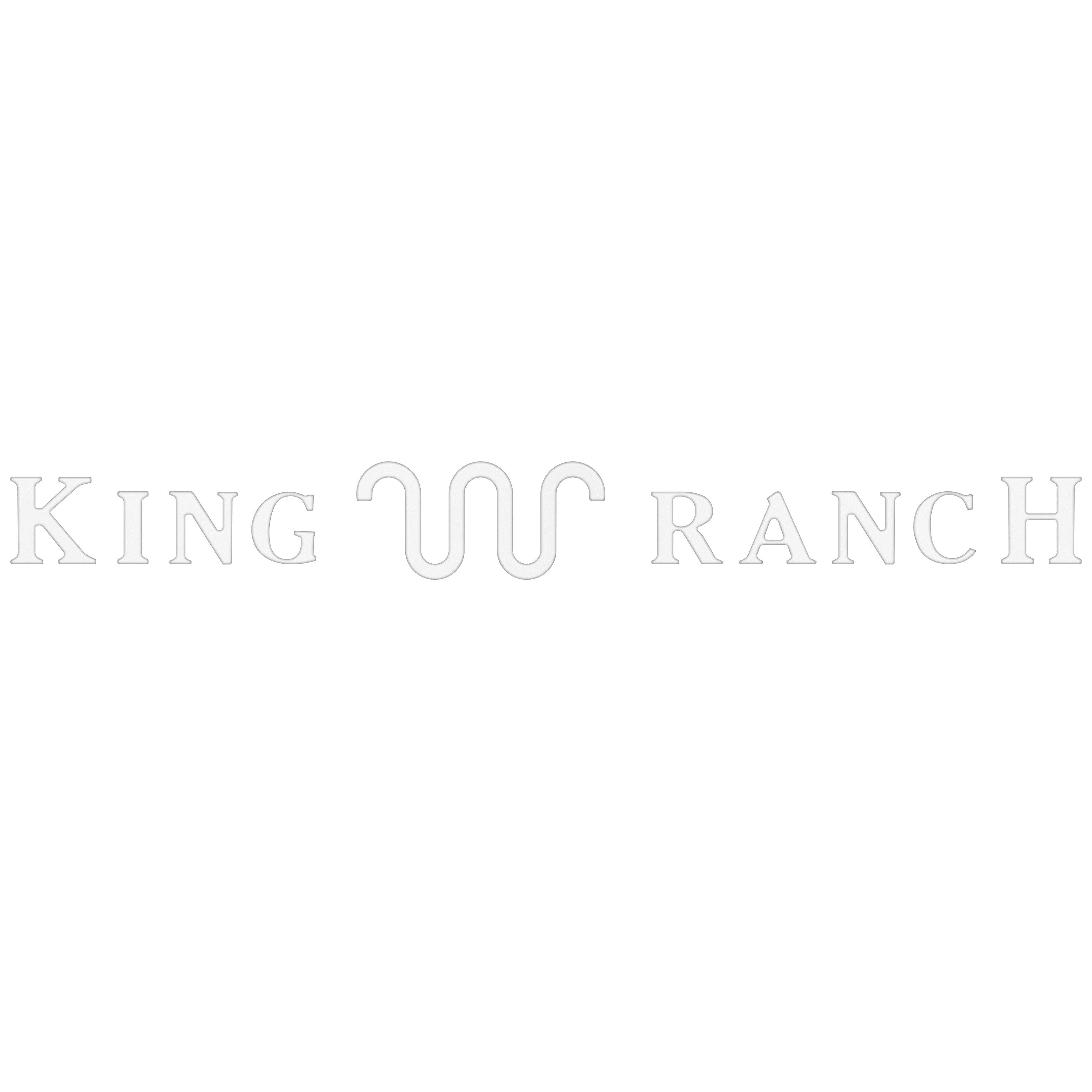 Tailgate Letter Inserts Fits 2023-2026 Ford Super Duty King Ranch