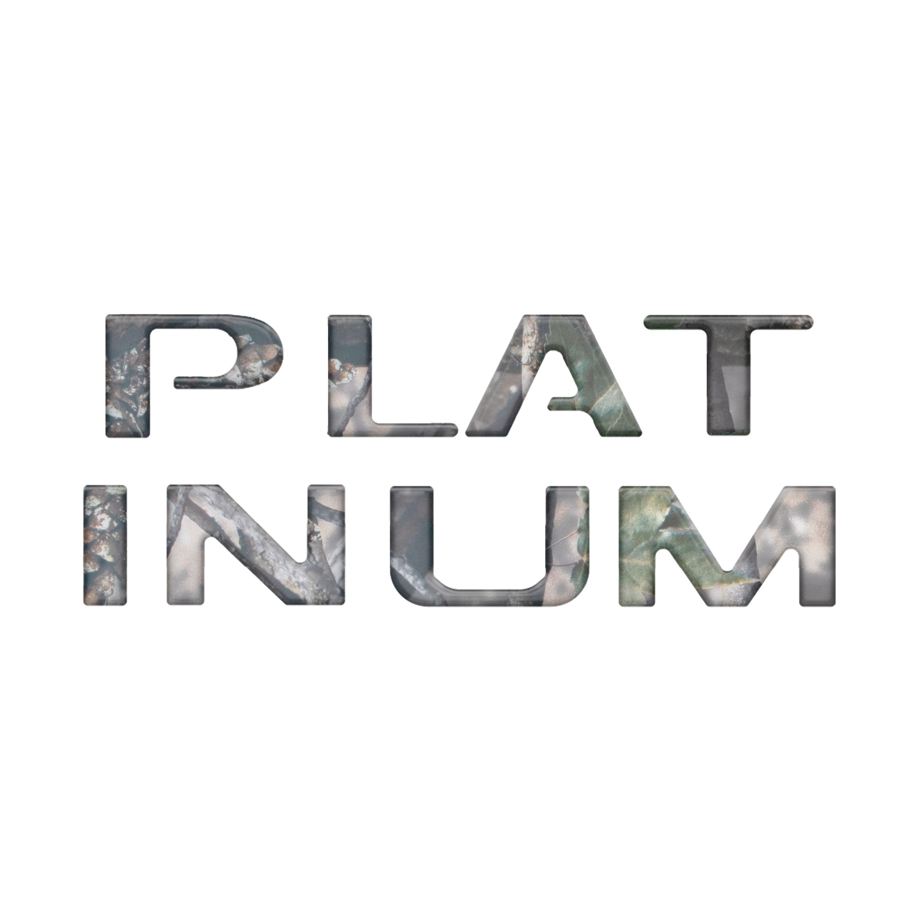 Platinum Tailgate Lettering Kit Fits 2025-2026 Ford Super Duty Platinum