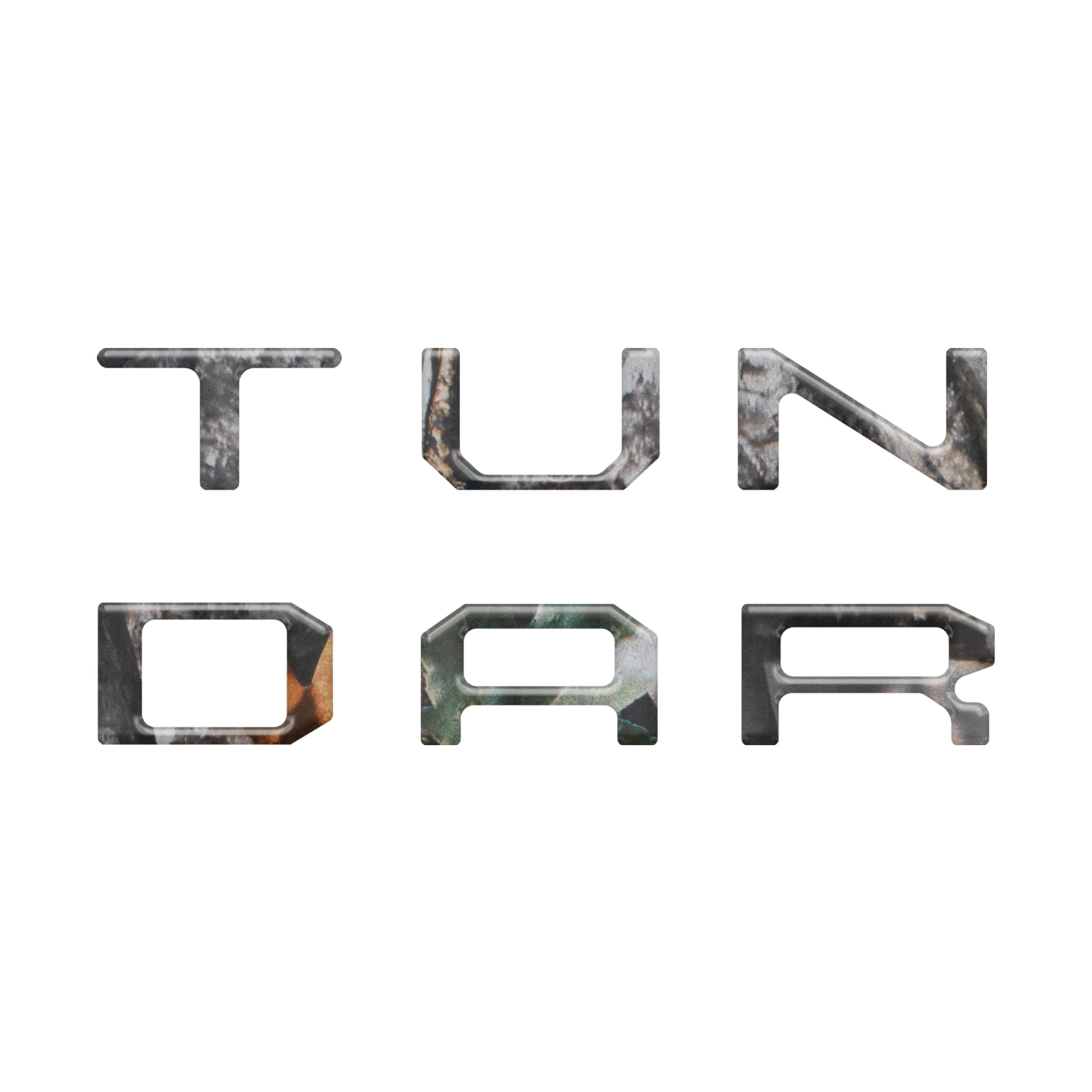 Radio Letter Inserts Fits 2014-2021 Toyota Tundra