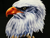 American Bald Eagle Head Cut Out Metal Wall Sign - 18" x 14"