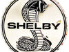 Shelby Super Snake Badge Stainless Steel Wall Hanging Sign - White/Chrome : 22"