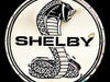 Shelby Super Snake Badge Stainless Steel Wall Hanging Sign - White/Chrome : 22"