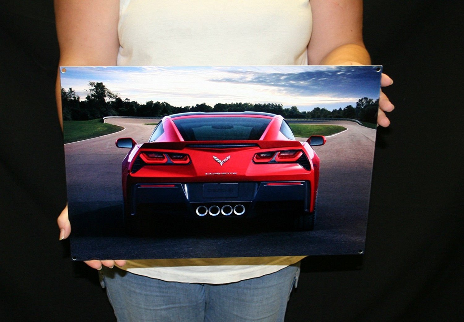 C7 Corvette Rear Red Coupe Metal Sign - 18" x 12"