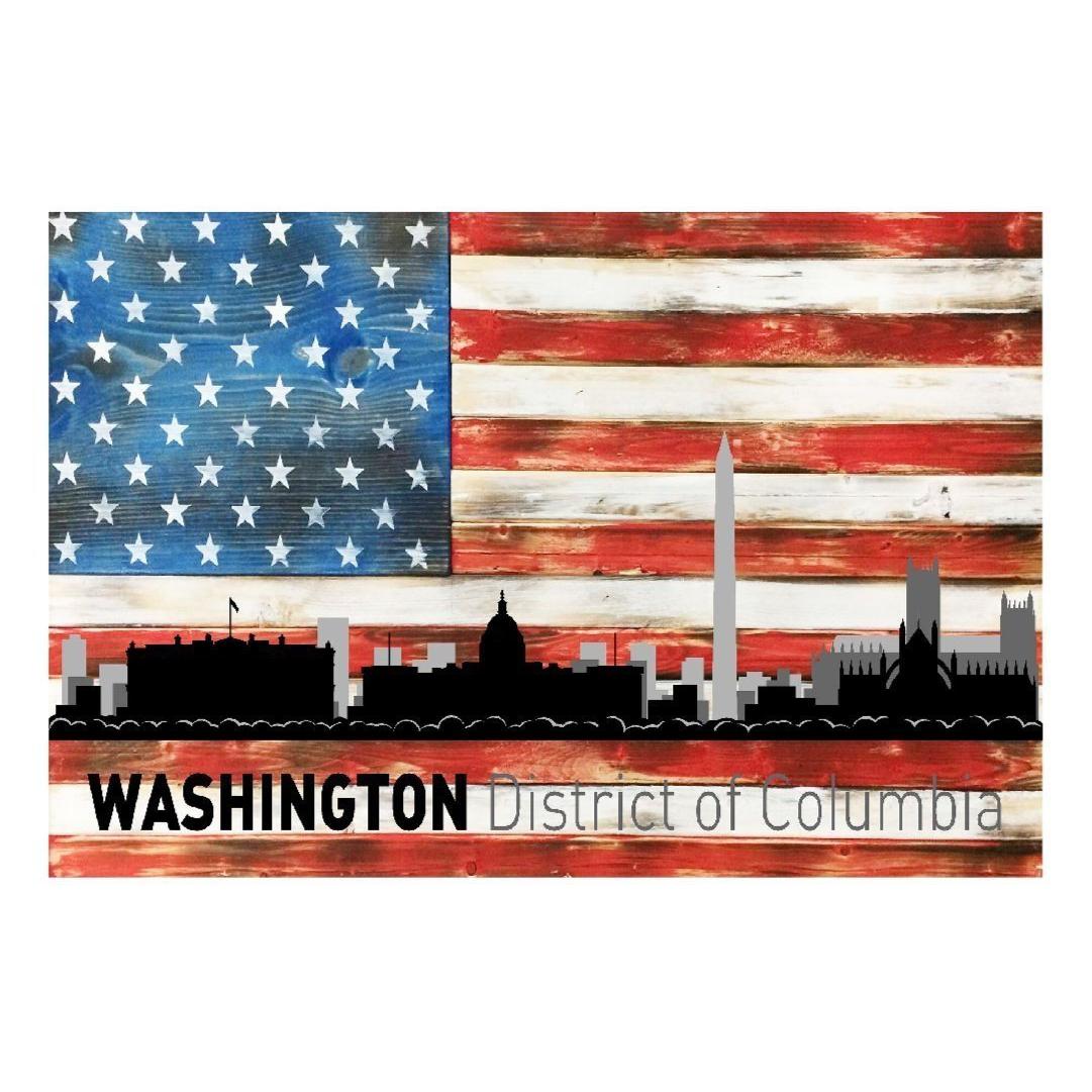 Chicago Illinois City Skyline USA Flag Metal Sign Home Decor - 12" x 8"-SR1 Performance
